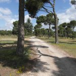 rustplaats ter hoogte van san clemente