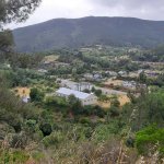 vóór labrada