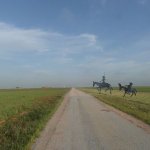 don quijote en pancho villa ook onderweg