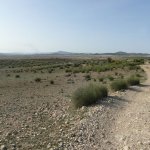 op weg naar la higuera