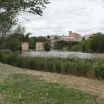rio duero - zamora