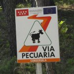 via pecuaria