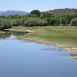 embalse de manzanares