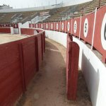 arena de toros - la roda