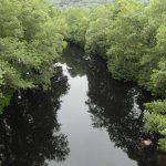 zwarte water