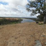 rio esla